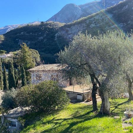 Olive Grove House Apartment Малчезине Екстериор снимка