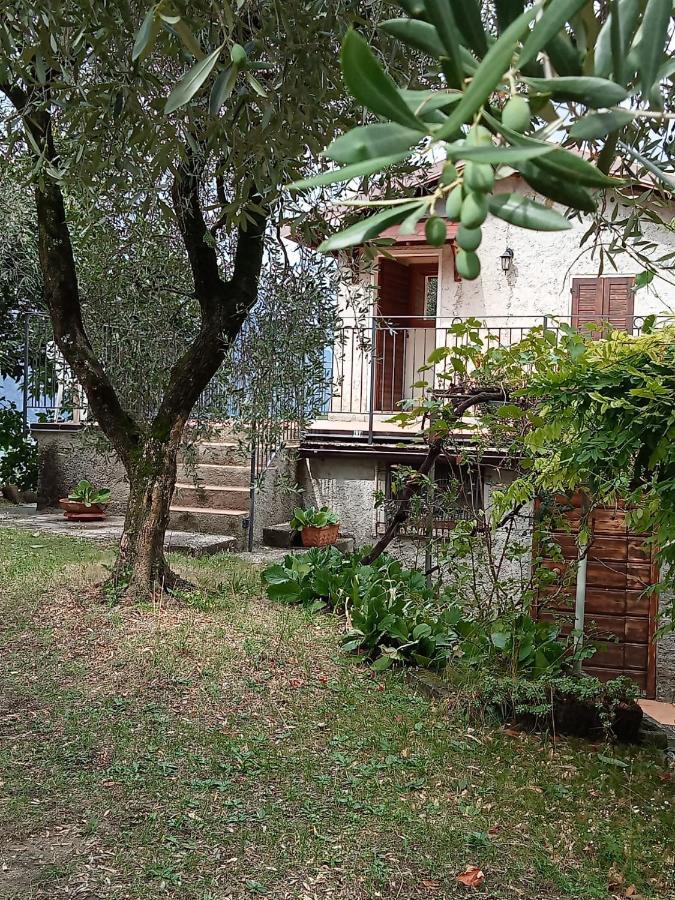 Olive Grove House Apartment Малчезине Екстериор снимка