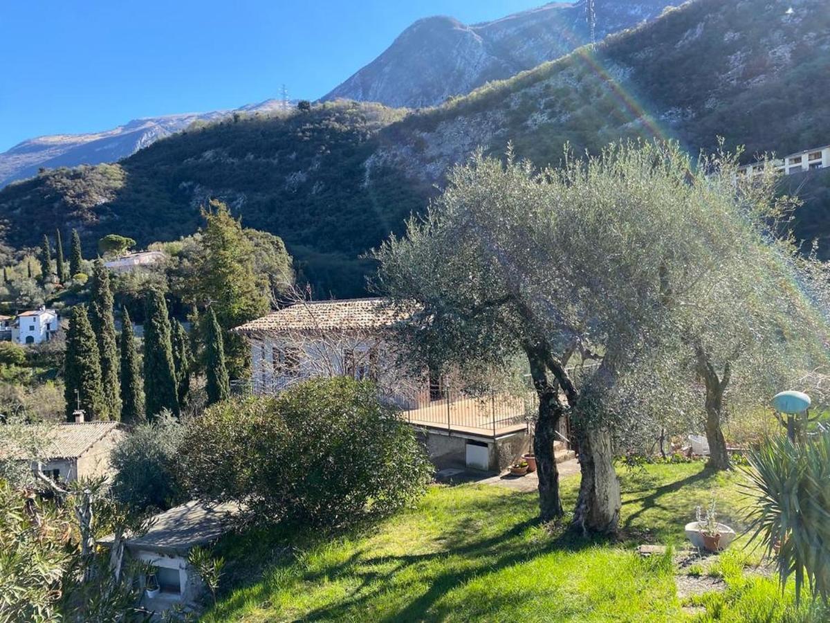 Olive Grove House Apartment Малчезине Екстериор снимка