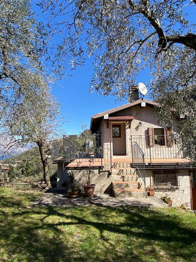 Olive Grove House Apartment Малчезине Екстериор снимка