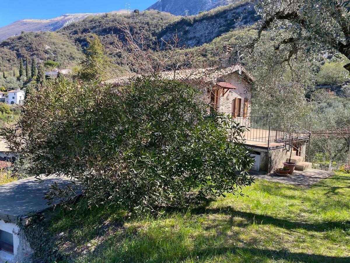 Olive Grove House Apartment Малчезине Екстериор снимка