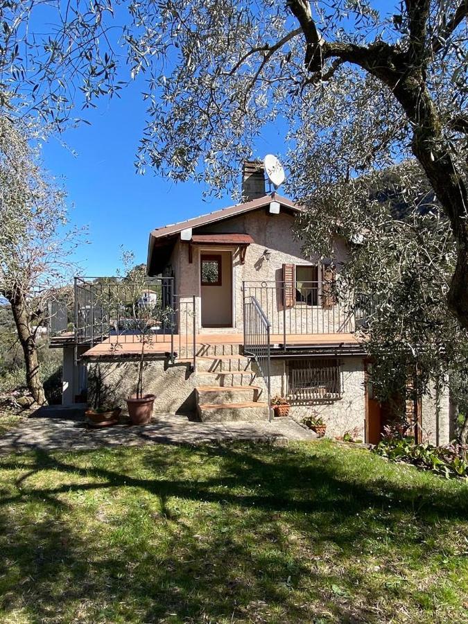 Olive Grove House Apartment Малчезине Екстериор снимка