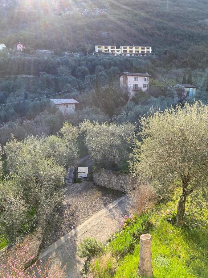 Olive Grove House Apartment Малчезине Екстериор снимка
