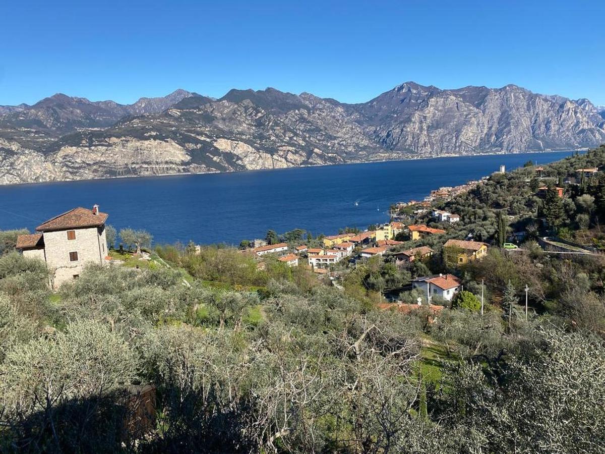 Olive Grove House Apartment Малчезине Екстериор снимка