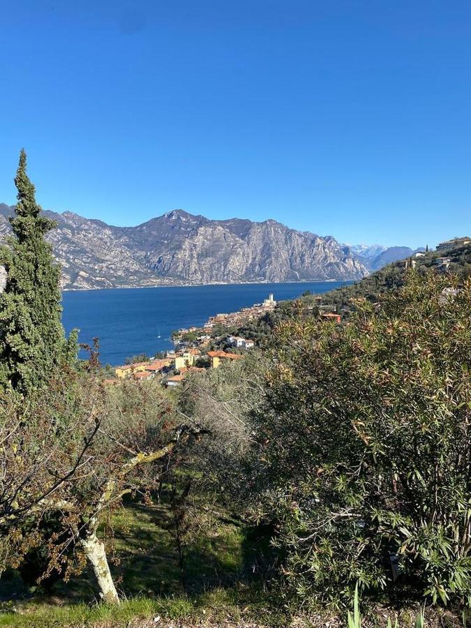 Olive Grove House Apartment Малчезине Екстериор снимка